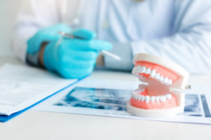 Model dentures sitting on a dentist’s desk 